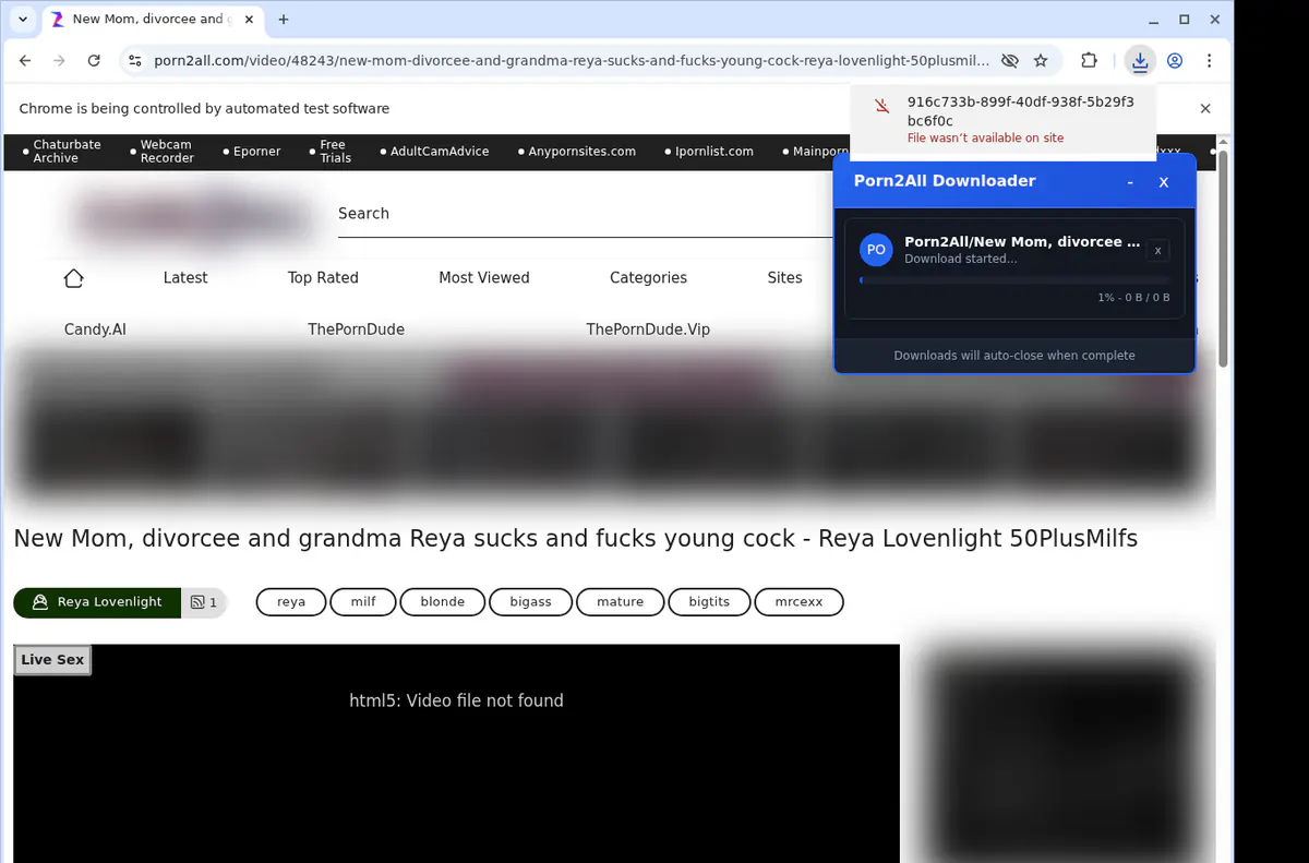 Porn 2 All Video Downloader browser extension screenshot 2