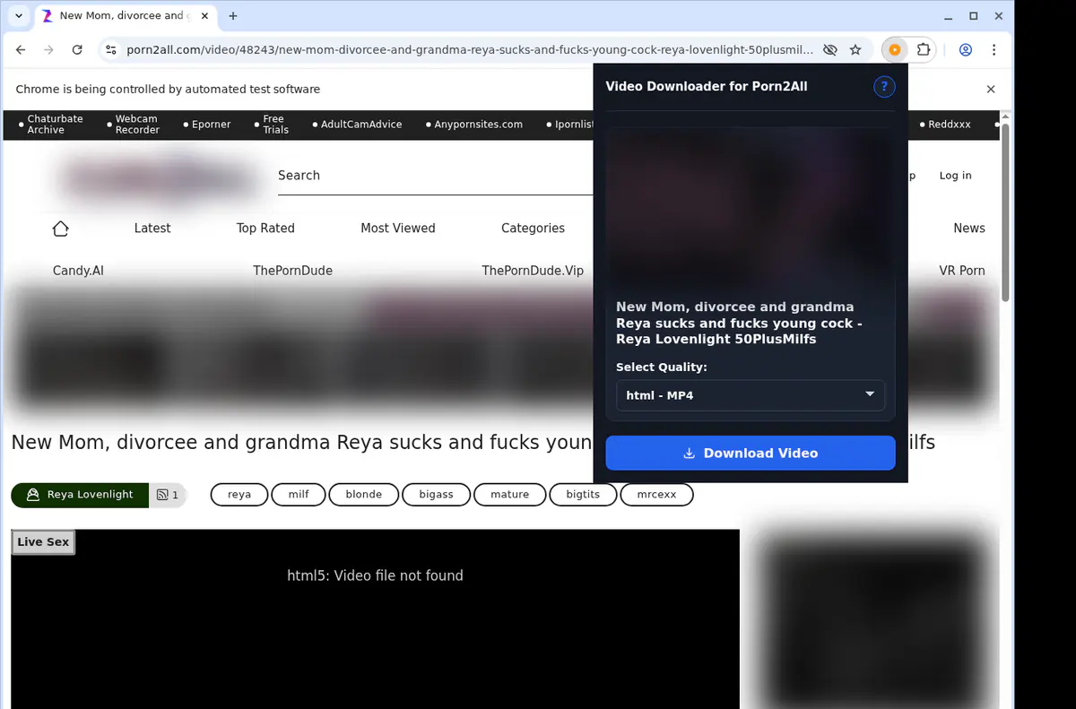 Porn 2 All Video Downloader browser extension screenshot 3