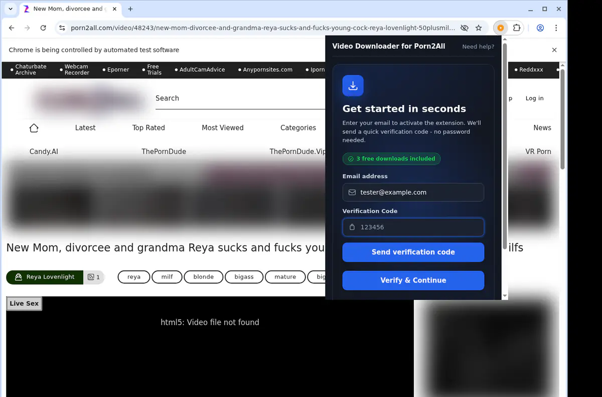 Porn 2 All Video Downloader browser extension screenshot 4