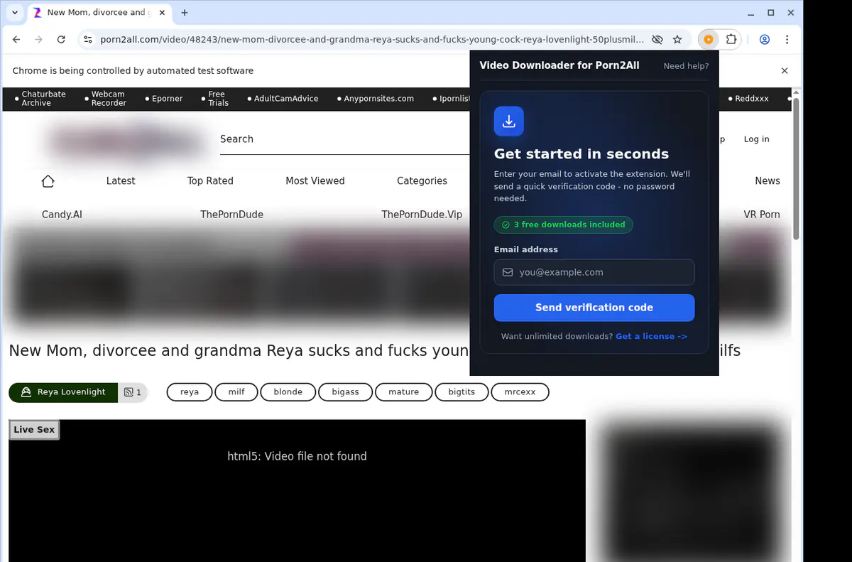 Porn 2 All Video Downloader browser extension screenshot 5